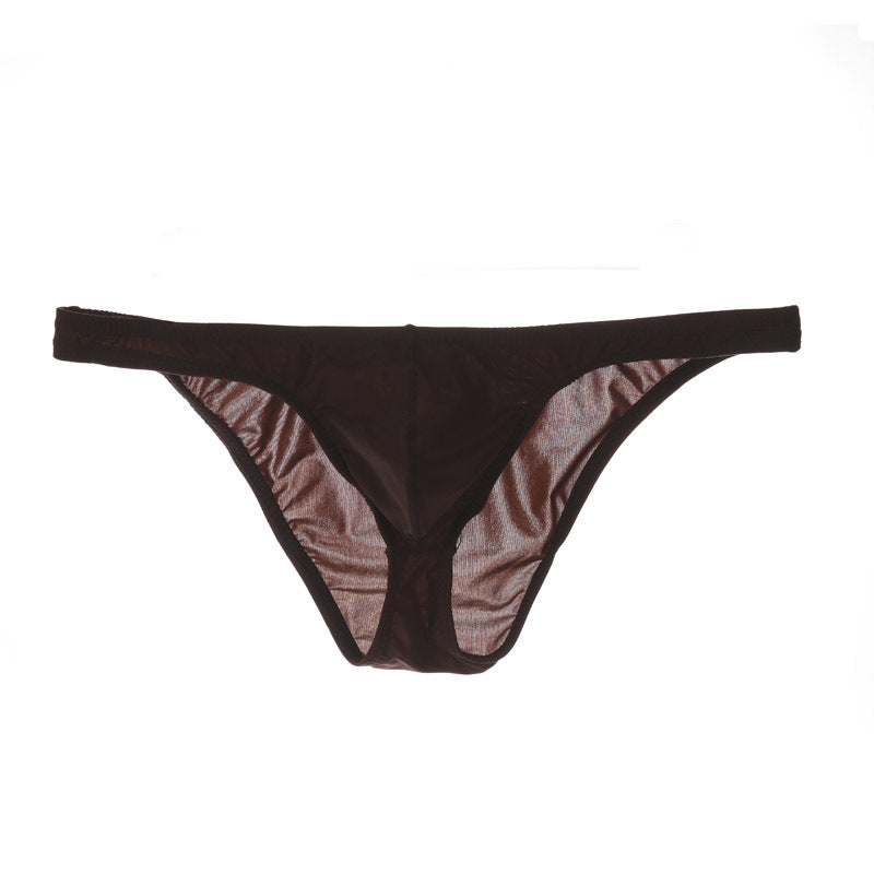 Men's Sexy Triangle Briefs, Transparent Mesh Underwear