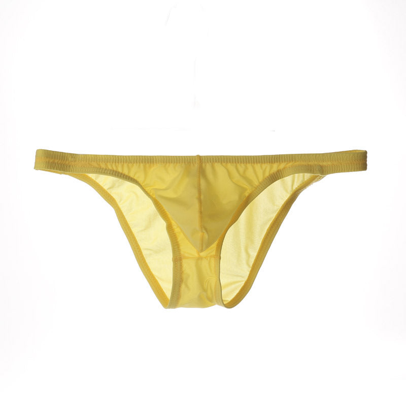 Men's Sexy Triangle Briefs, Transparent Mesh Underwear