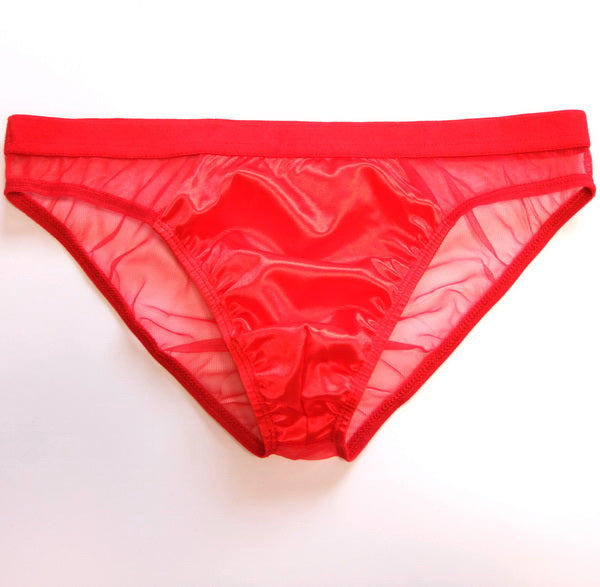 Men's Sexy Triangle Briefs, Transparent Mesh Underwear