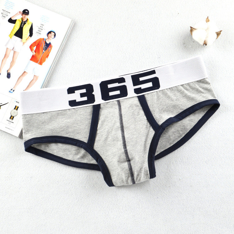 Breathable Comfort Men's Briefs (Triangle Underwear)