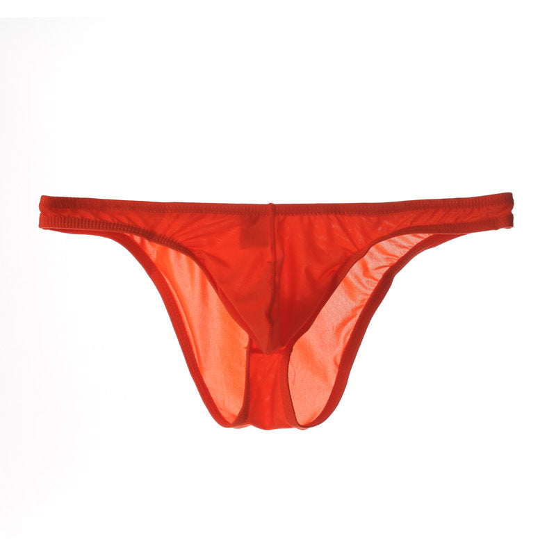 Men's Sexy Triangle Briefs, Transparent Mesh Underwear