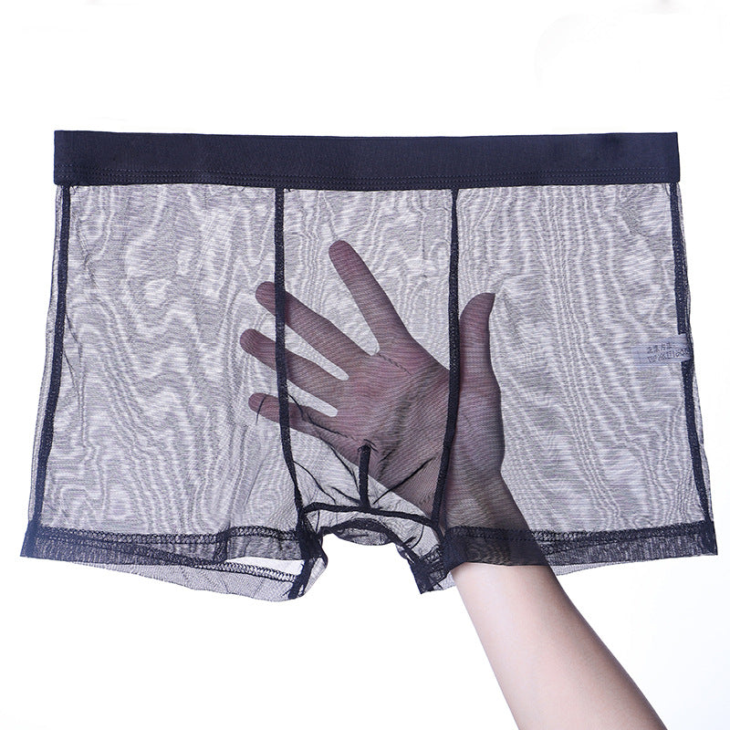 Men's Thin Mesh Transparent Black Underwear