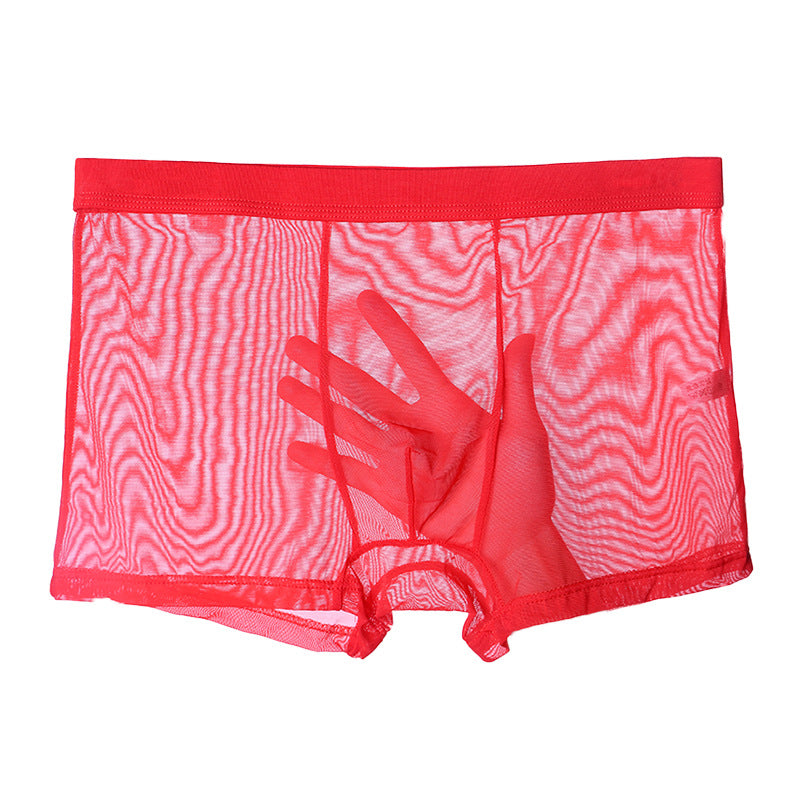 Men's Thin Mesh Transparent Black Underwear
