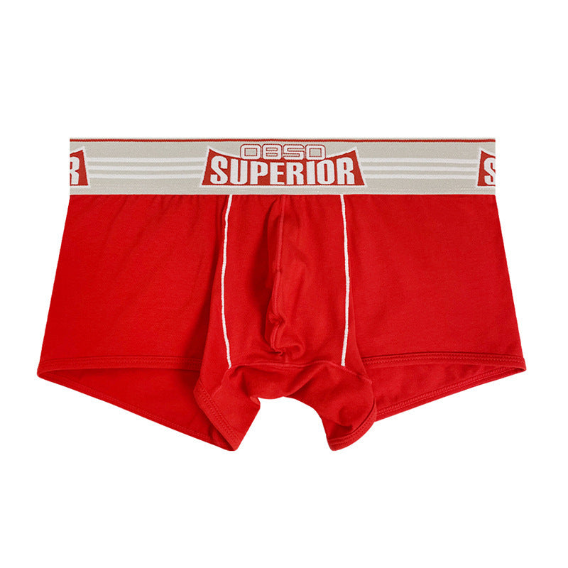 Collection de sous-vêtements pour hommes élégants - Coupe confortable