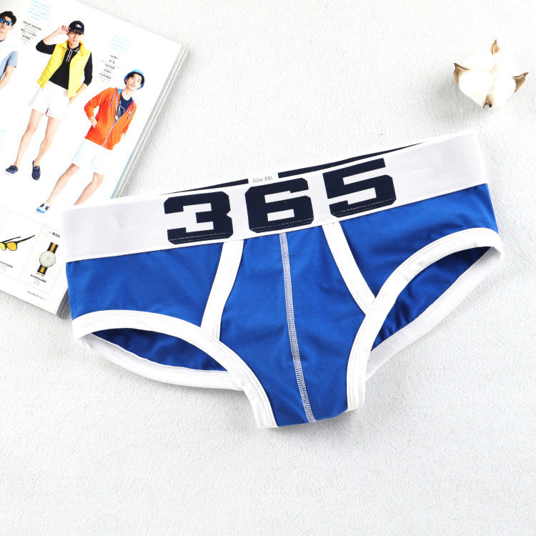 Breathable Comfort Men's Briefs (Triangle Underwear)