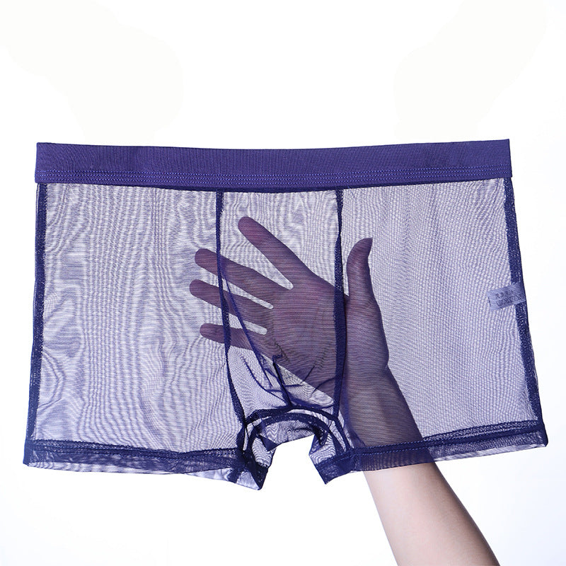 Men's Thin Mesh Transparent Black Underwear