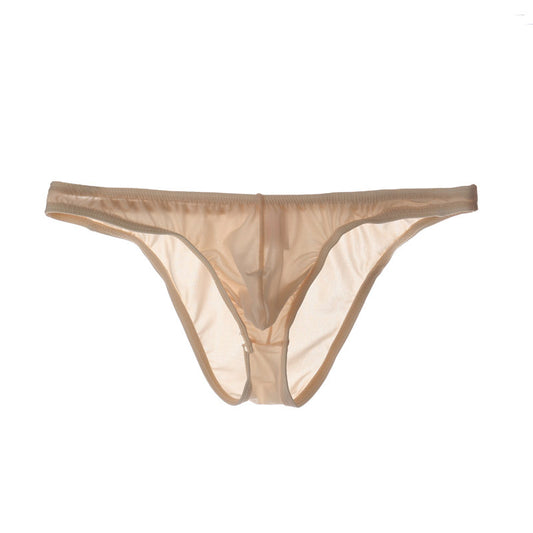 Men's Sexy Triangle Briefs, Transparent Mesh Underwear