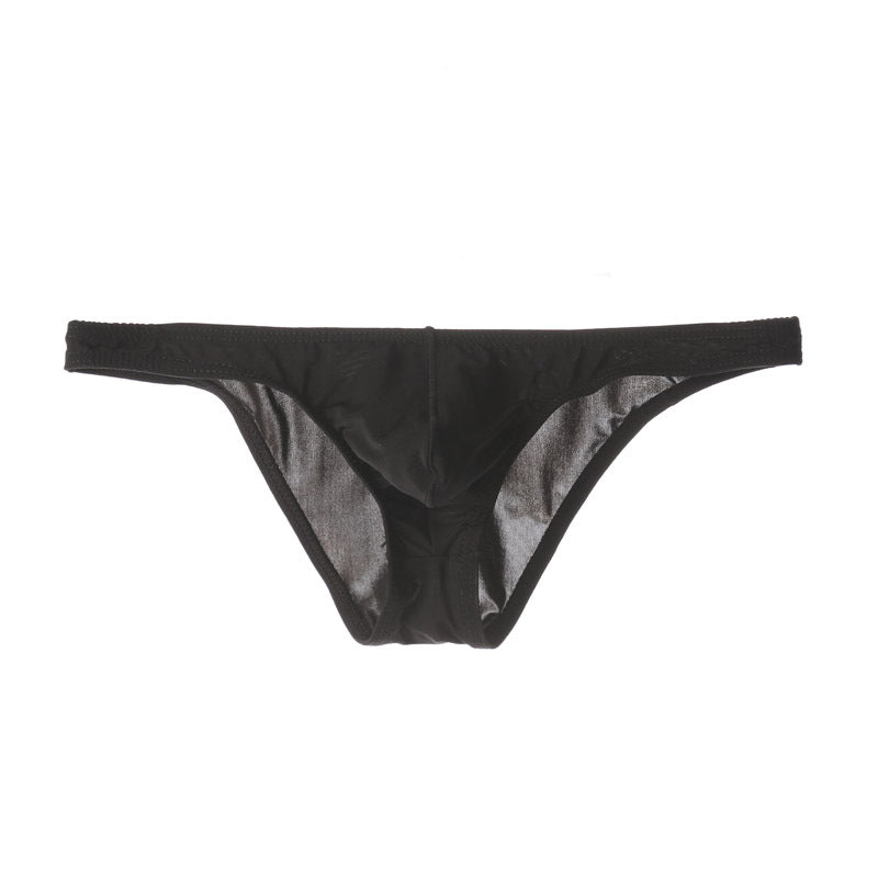 Men's Sexy Triangle Briefs, Transparent Mesh Underwear