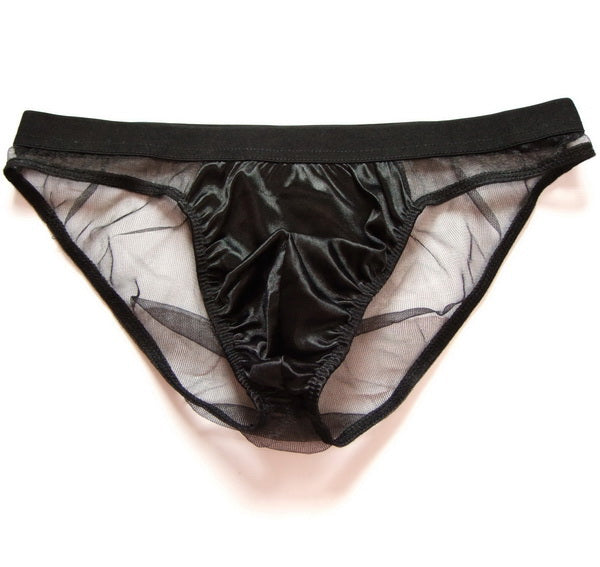 Men's Sexy Triangle Briefs, Transparent Mesh Underwear