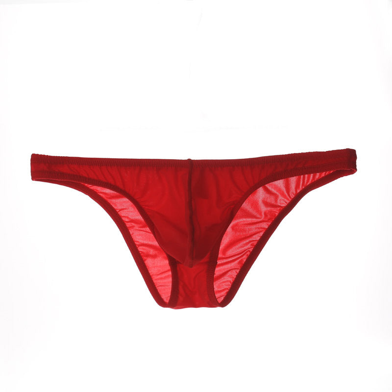 Men's Sexy Triangle Briefs, Transparent Mesh Underwear