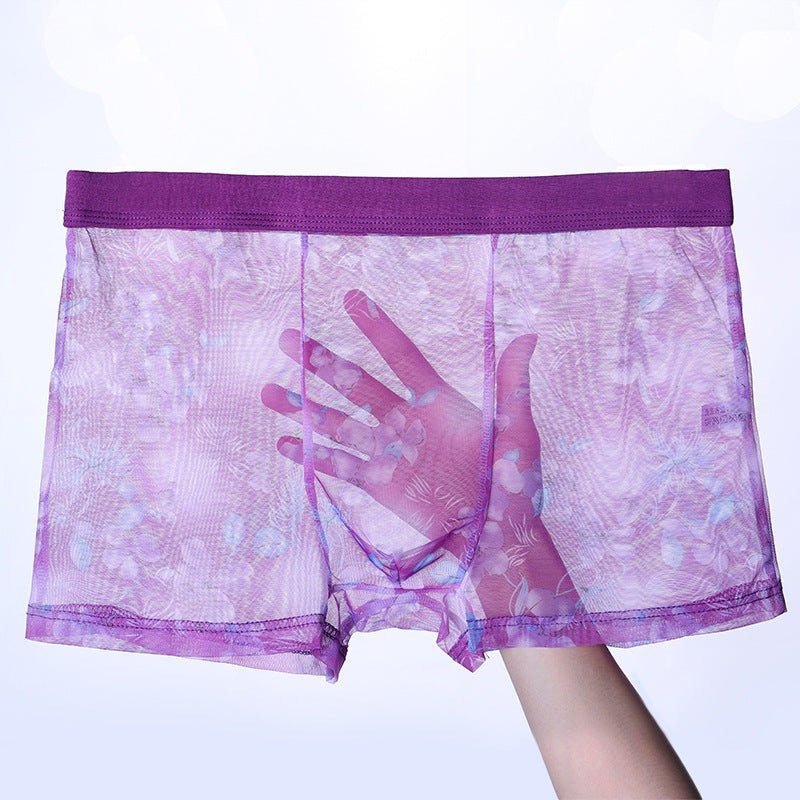 Men's Thin Mesh Transparent Black Underwear