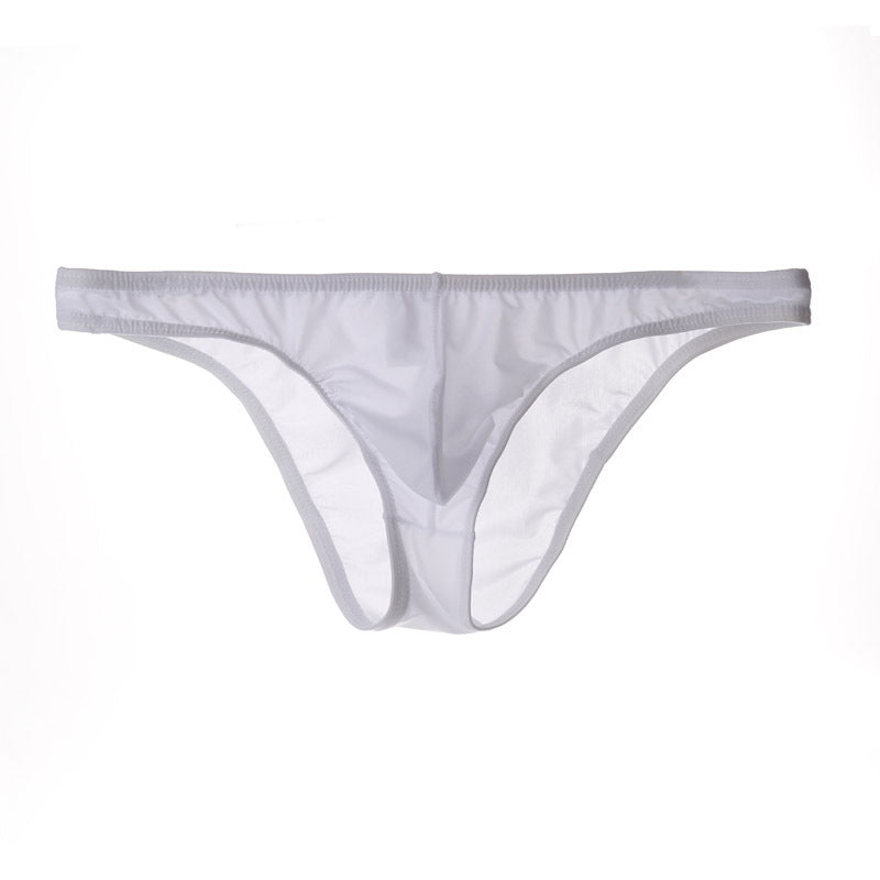 Men's Sexy Triangle Briefs, Transparent Mesh Underwear