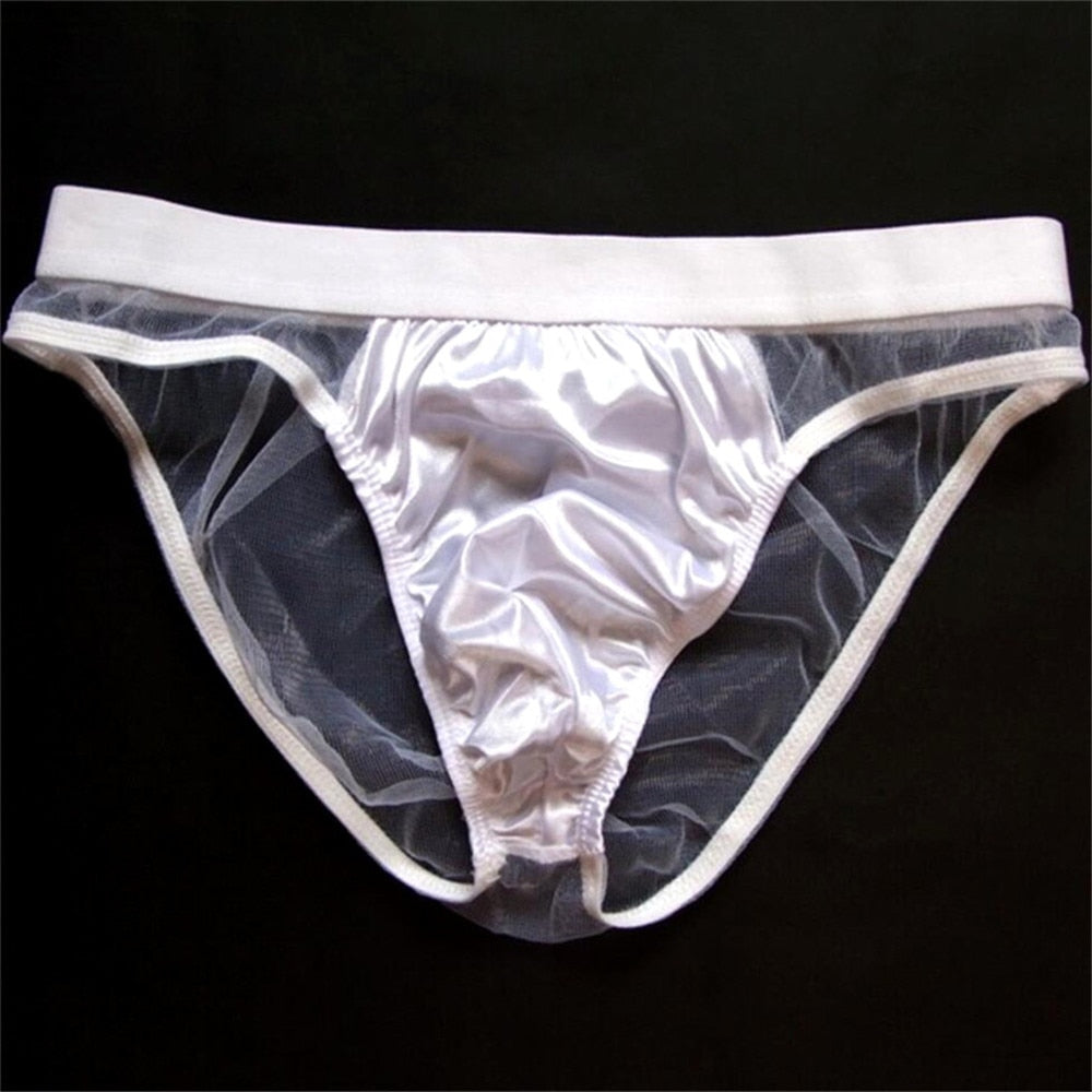 Men's Sexy Triangle Briefs, Transparent Mesh Underwear