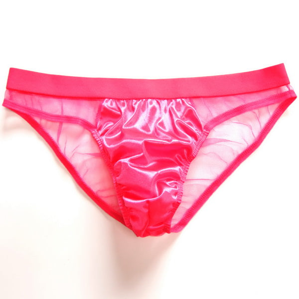 Men's Sexy Triangle Briefs, Transparent Mesh Underwear