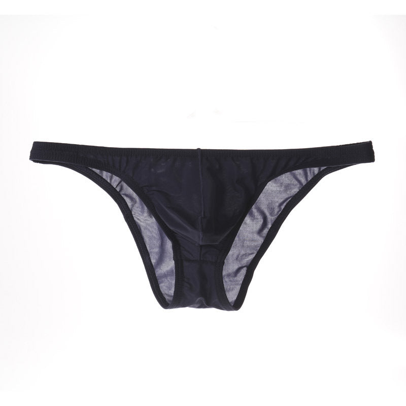 Men's Sexy Triangle Briefs, Transparent Mesh Underwear